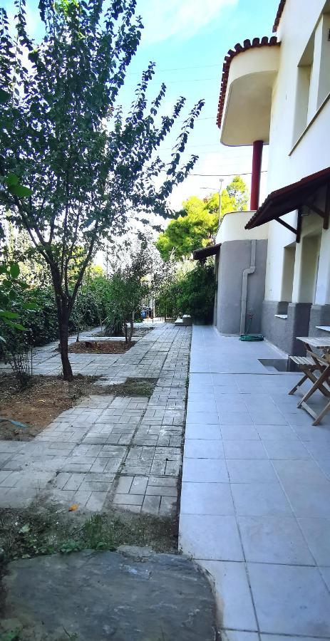 Amazon Spacious 3Bedroom Premium Neighbourhood Афины Экстерьер фото